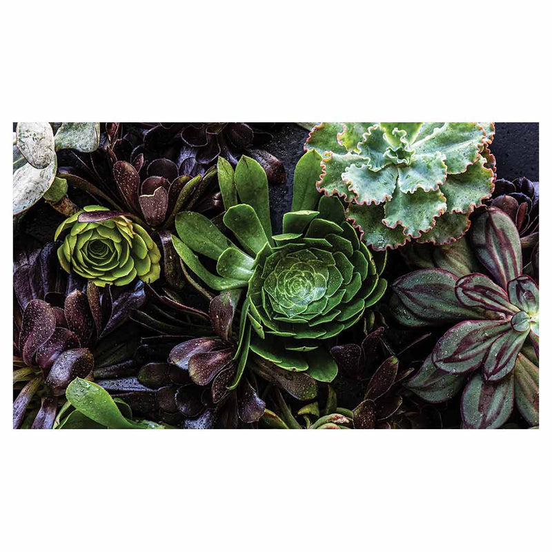 NATURAL GREEN AND PURPLE ALOE GARDEN TABLECLOTH