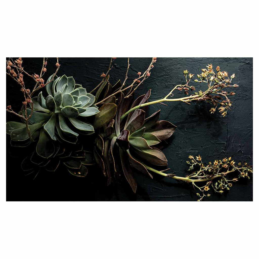 NATURAL GREEN ALOE BUSH WITH LEAVES TABLECLOTH