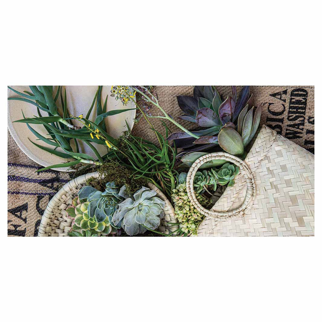 NATURAL GREEN ALOE BOUQUET IN BASKET ON HESSIAN TABLECLOTH