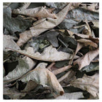 MONOCHROMATIC GREY GREEN LEAVES TABLECLOTH