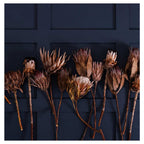 GOLDEN PROTEA ARRANGEMENT ON DARK BLUE TABLECLOTH