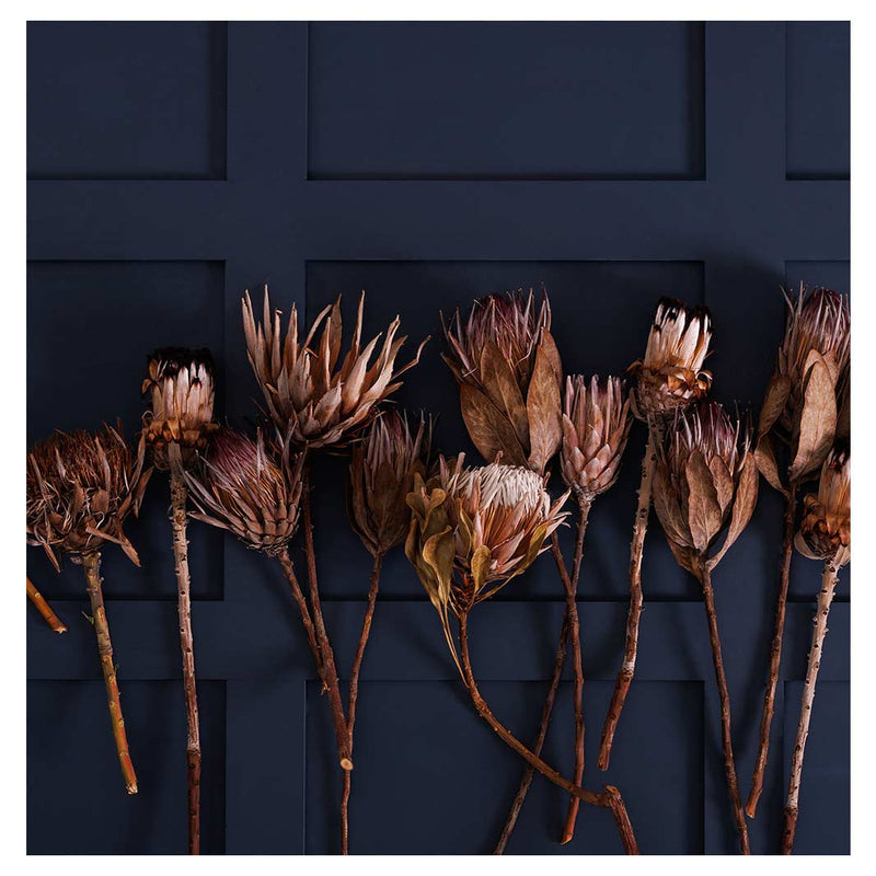 GOLDEN PROTEA ARRANGEMENT ON DARK BLUE TABLECLOTH