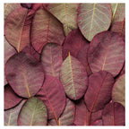 LEAF ARRANGEMENT DARK MAUVE AND GREEN TABLECLOTH
