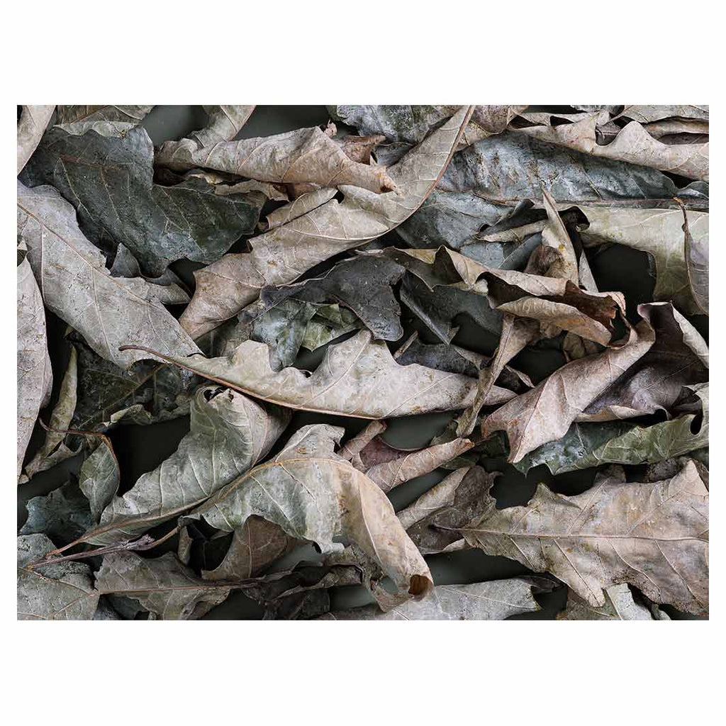 MONOCHROMATIC GREY GREEN LEAVES TABLECLOTH