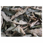 MONOCHROMATIC GREY GREEN LEAVES TABLECLOTH