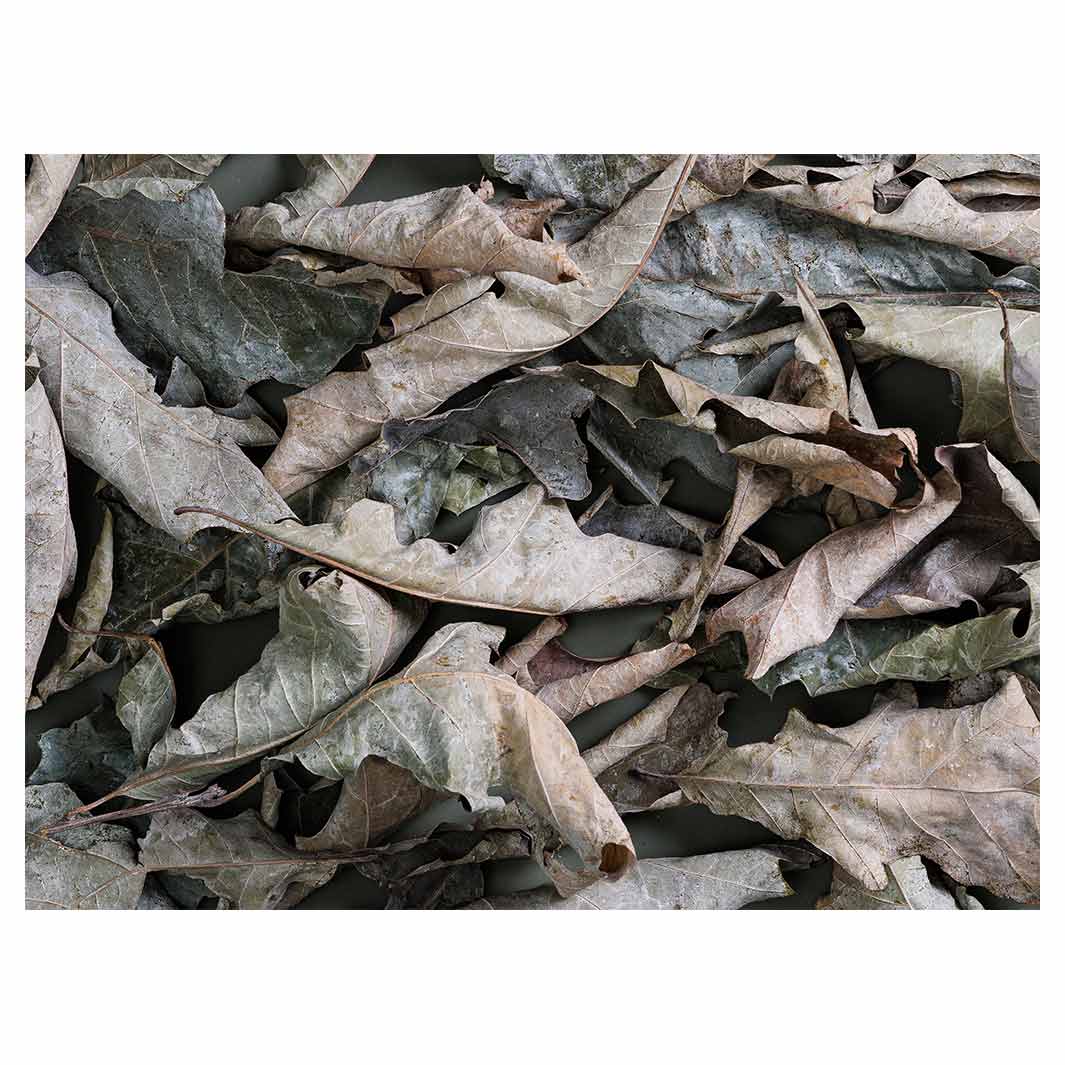MONOCHROMATIC GREY GREEN LEAVES TABLECLOTH