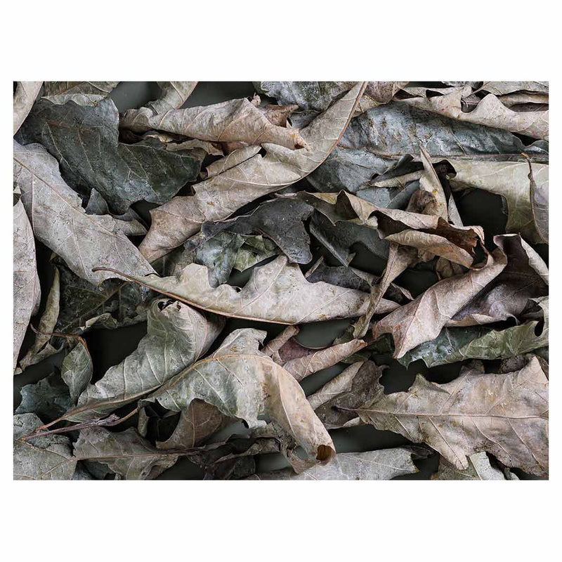 MONOCHROMATIC GREY GREEN LEAVES TABLECLOTH