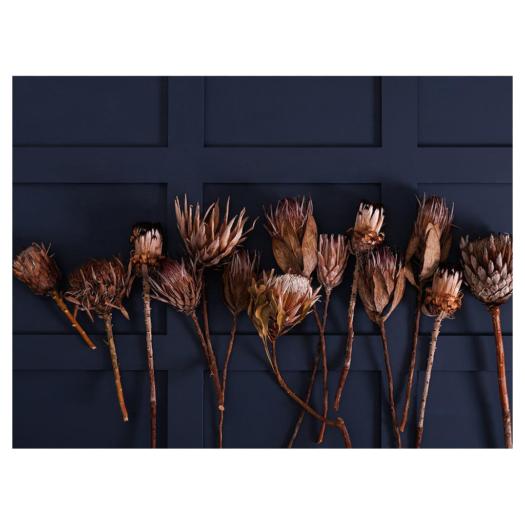 GOLDEN PROTEA ARRANGEMENT ON DARK BLUE TABLECLOTH