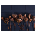 GOLDEN PROTEA ARRANGEMENT ON DARK BLUE TABLECLOTH