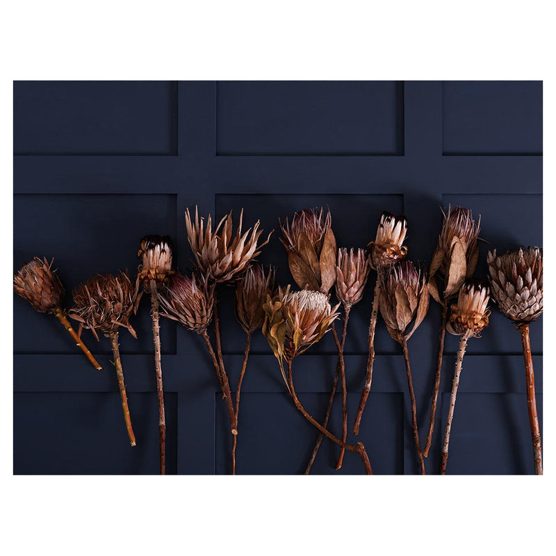 GOLDEN PROTEA ARRANGEMENT ON DARK BLUE TABLECLOTH
