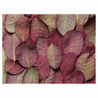 LEAF ARRANGEMENT DARK MAUVE AND GREEN TABLECLOTH