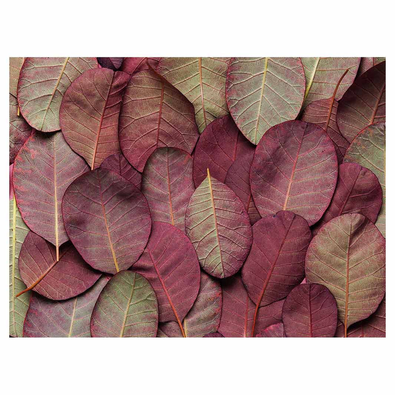 LEAF ARRANGEMENT DARK MAUVE AND GREEN TABLECLOTH
