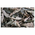 MONOCHROMATIC GREY GREEN LEAVES TABLECLOTH