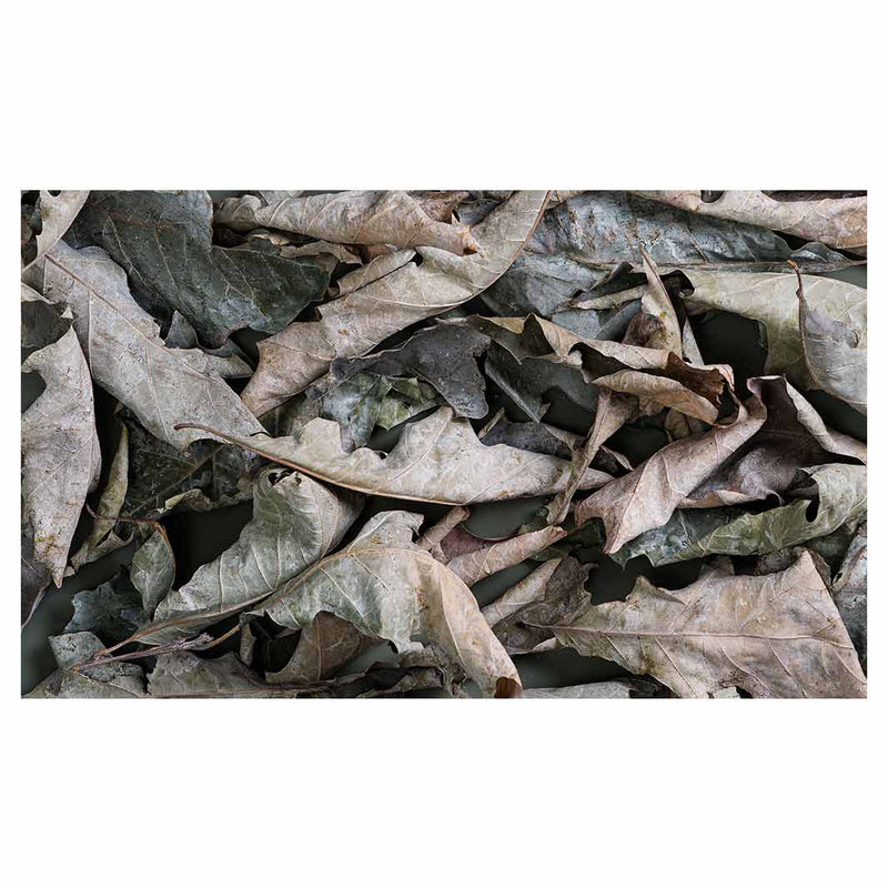 MONOCHROMATIC GREY GREEN LEAVES TABLECLOTH