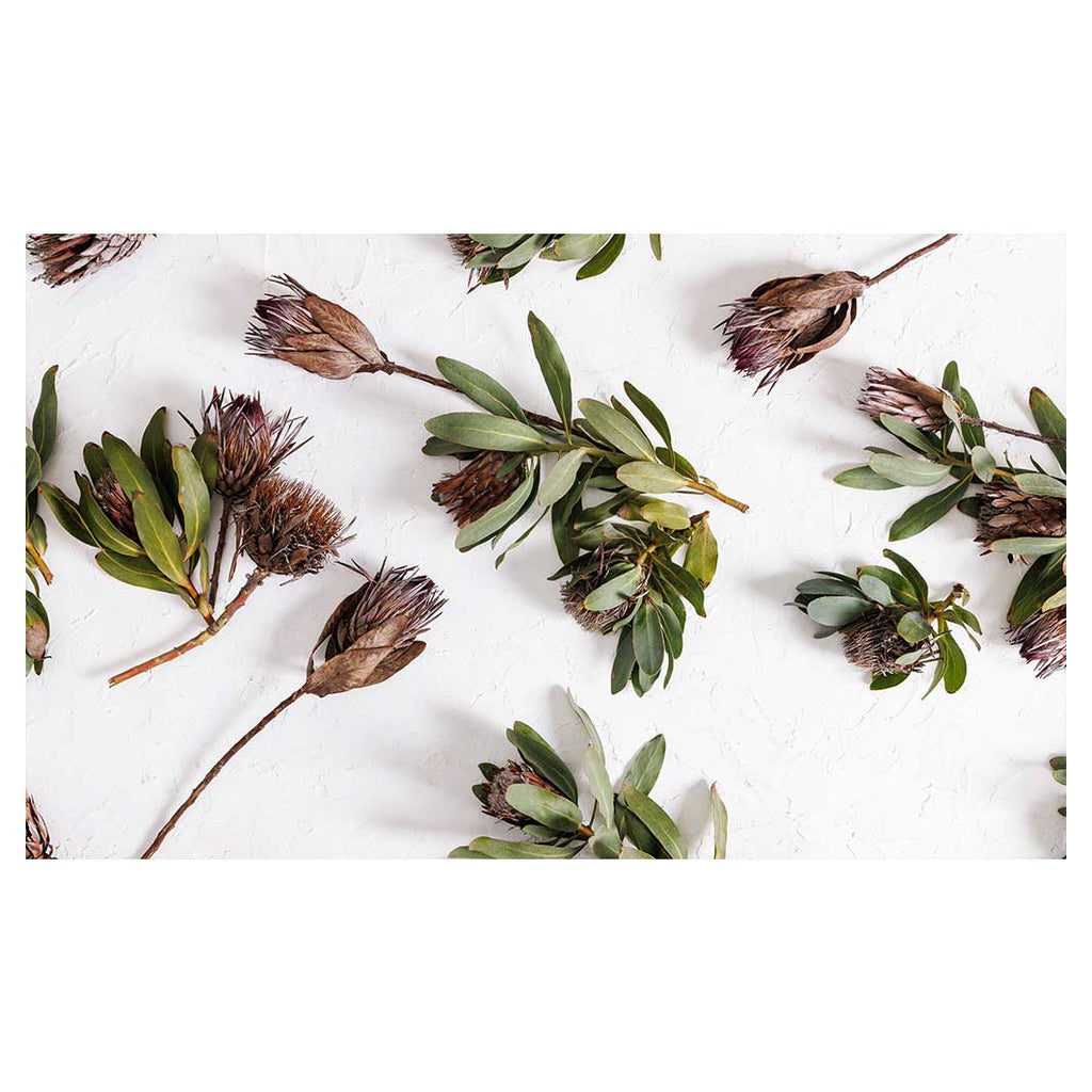 SCATTERED DRIED PROTEA WITH GREEN LEAVES TABLECLOTH