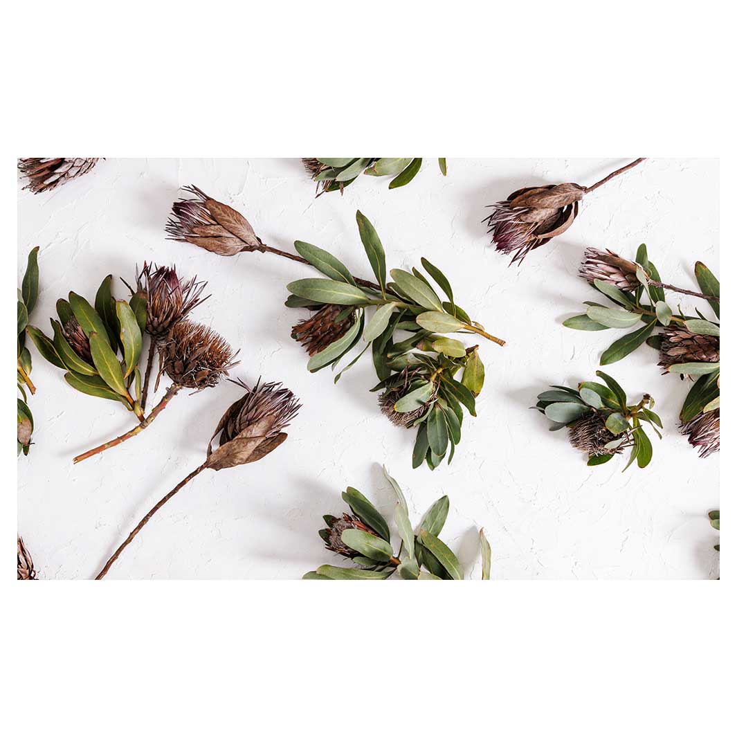 SCATTERED DRIED PROTEA WITH GREEN LEAVES TABLECLOTH