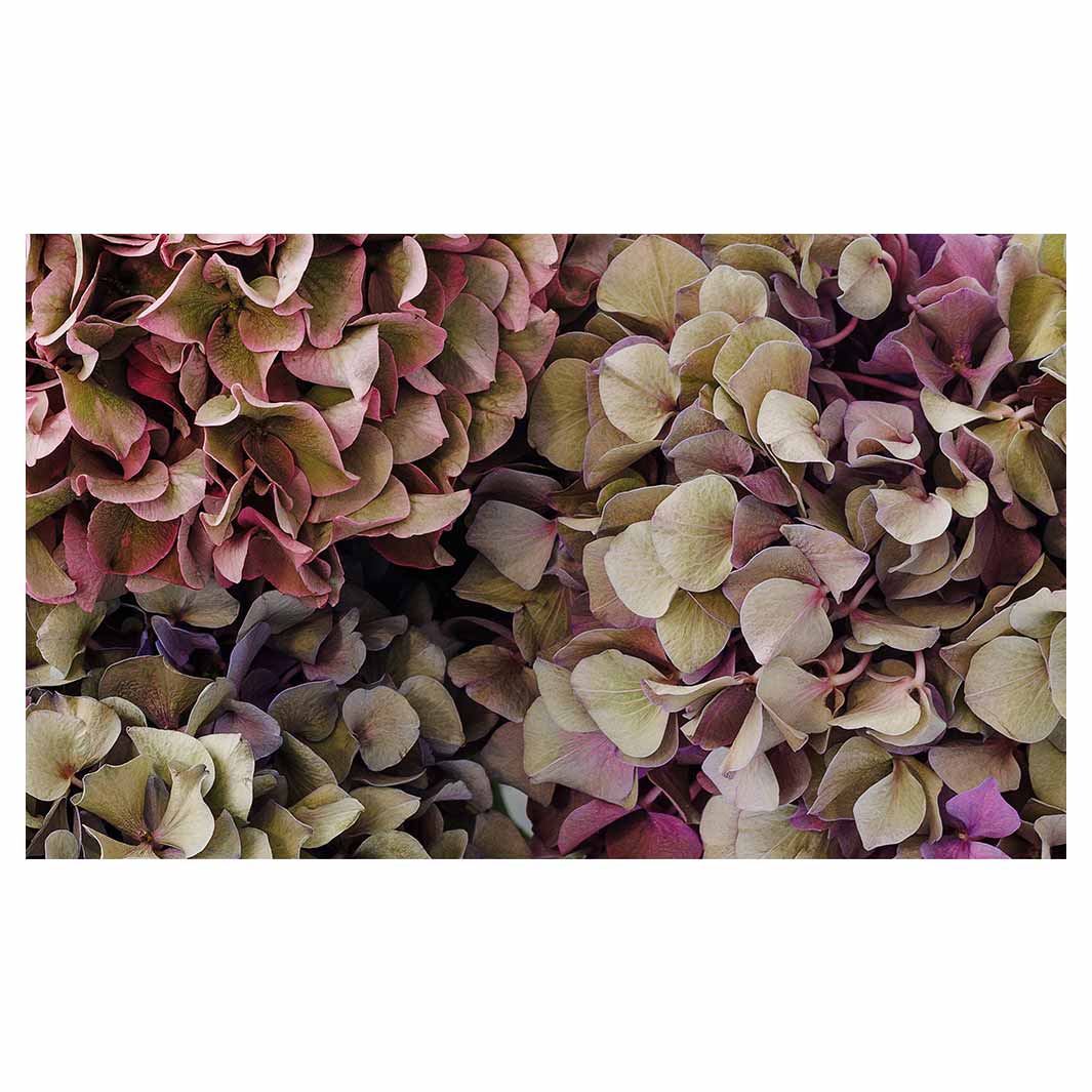 HYDRANGEA DEEP FLORAL TONES TABLECLOTH