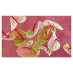 ANTHURIUM LIGHT PINK AND GREEN ON MAGENTA TABLECLOTH