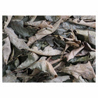 MONOCHROMATIC GREY GREEN LEAVES TABLECLOTH