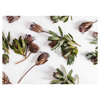 SCATTERED DRIED PROTEA WITH GREEN LEAVES TABLECLOTH