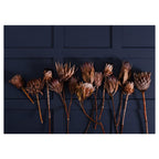 GOLDEN PROTEA ARRANGEMENT ON DARK BLUE TABLECLOTH