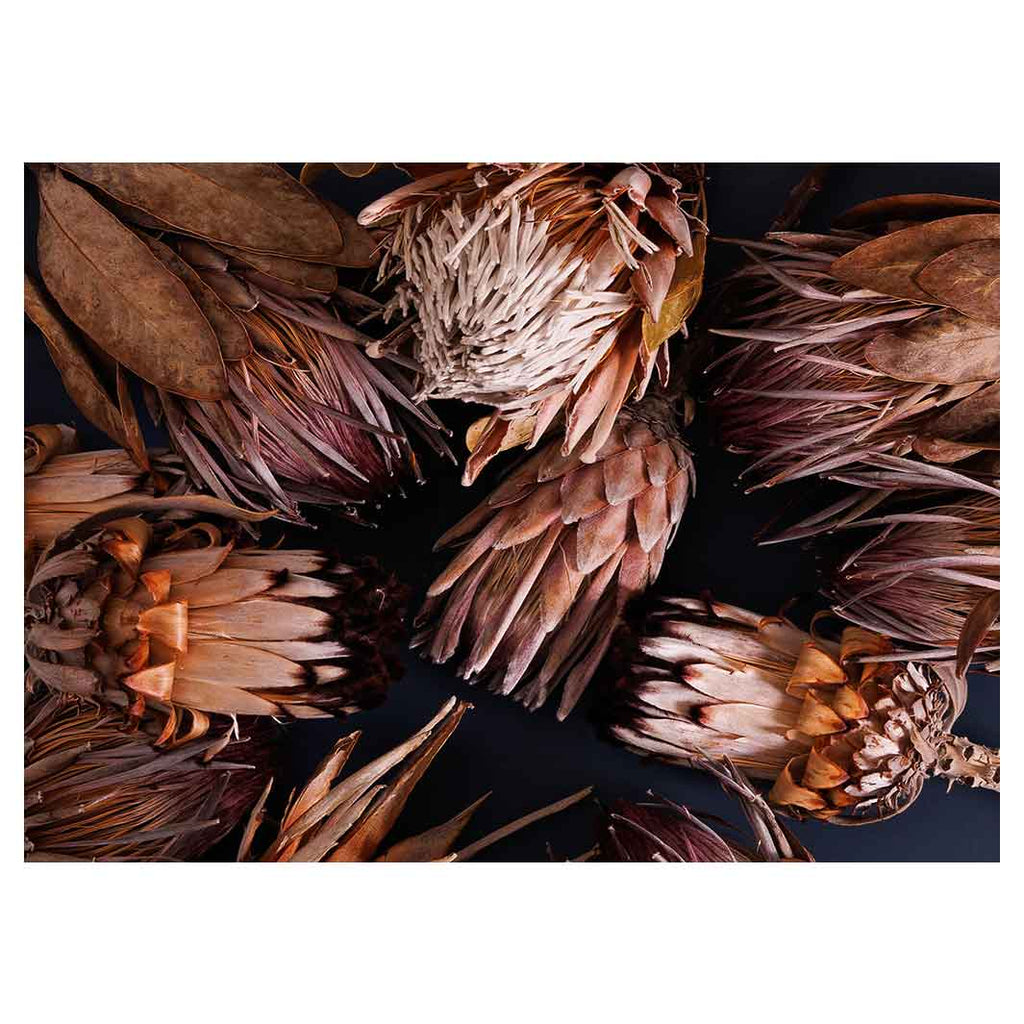 GOLDEN BROWNS PROTEAS TABLECLOTH