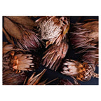 GOLDEN BROWNS PROTEAS TABLECLOTH