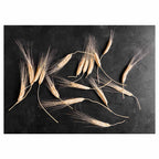 SCATTERED WHEAT ON BLACK TABLECLOTH