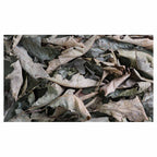 MONOCHROMATIC GREY GREEN LEAVES TABLECLOTH