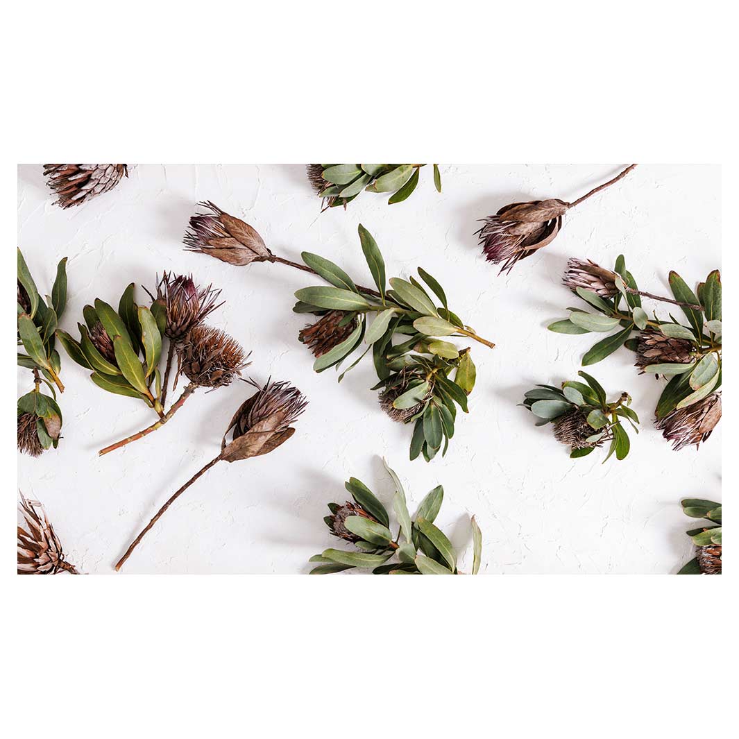SCATTERED DRIED PROTEA WITH GREEN LEAVES TABLECLOTH