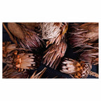 GOLDEN BROWNS PROTEAS TABLECLOTH