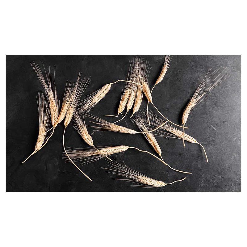 SCATTERED WHEAT ON BLACK TABLECLOTH