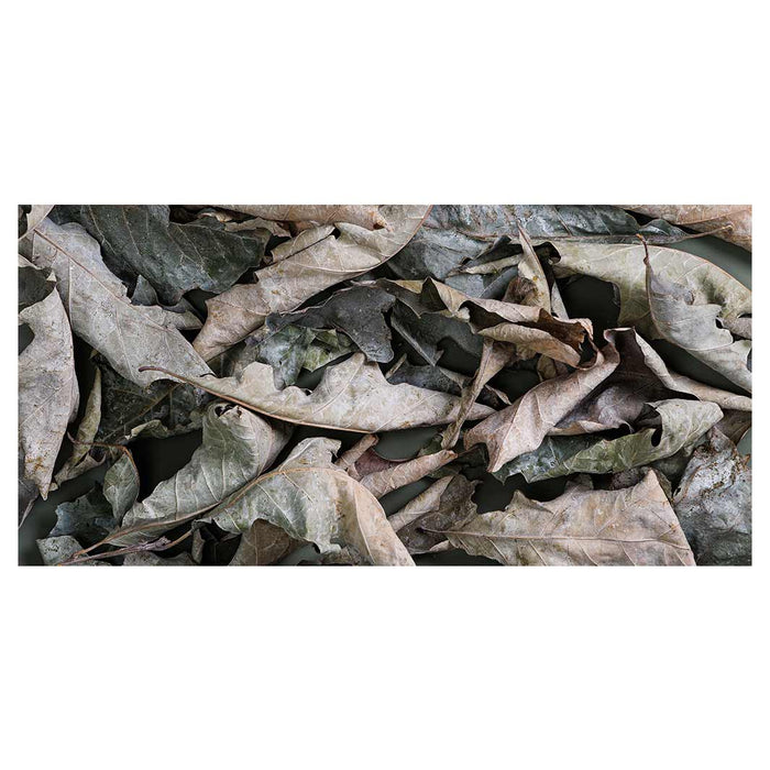 MONOCHROMATIC GREY GREEN LEAVES TABLECLOTH