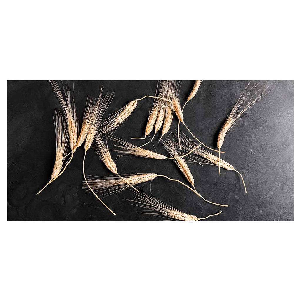 SCATTERED WHEAT ON BLACK TABLECLOTH