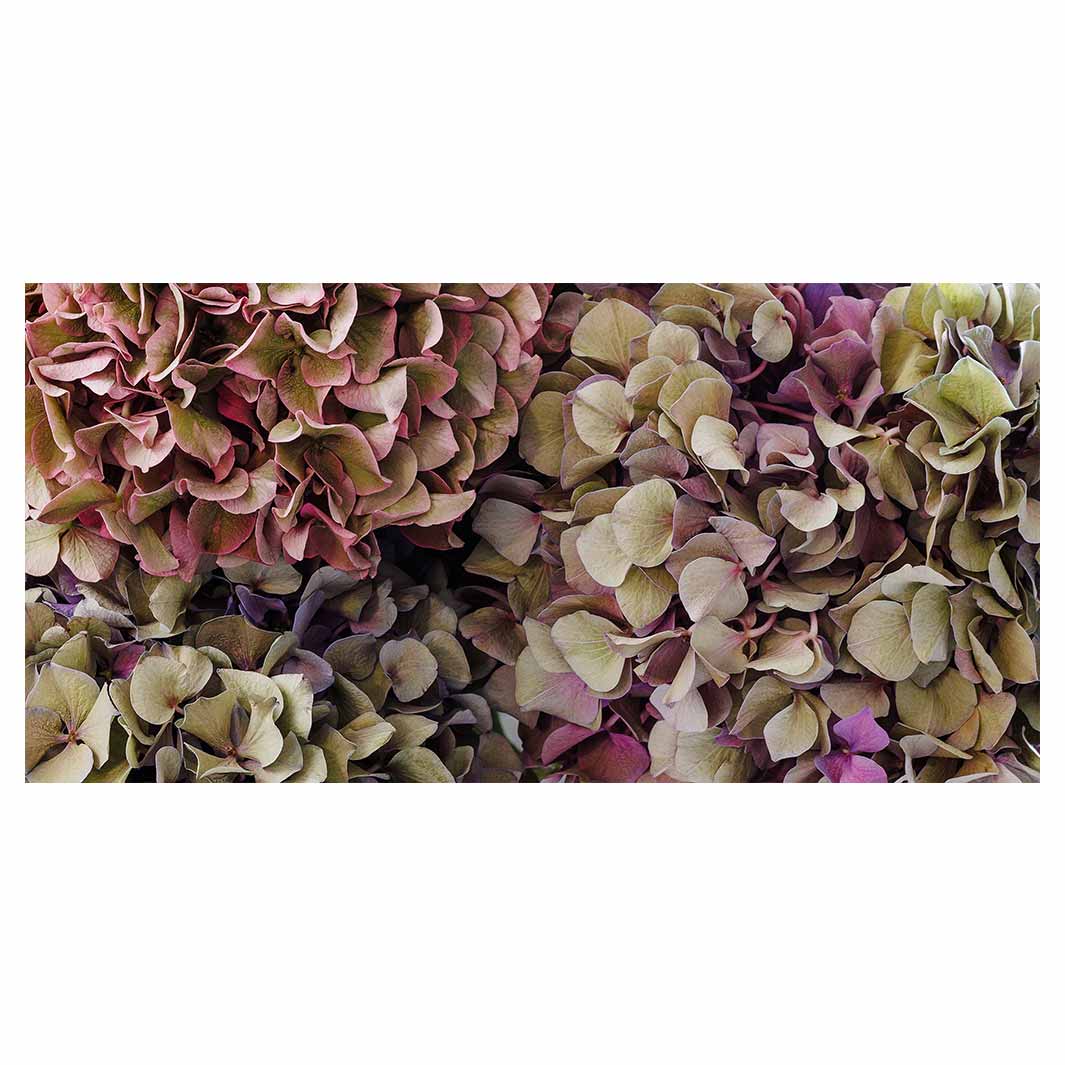HYDRANGEA DEEP FLORAL TONES TABLECLOTH