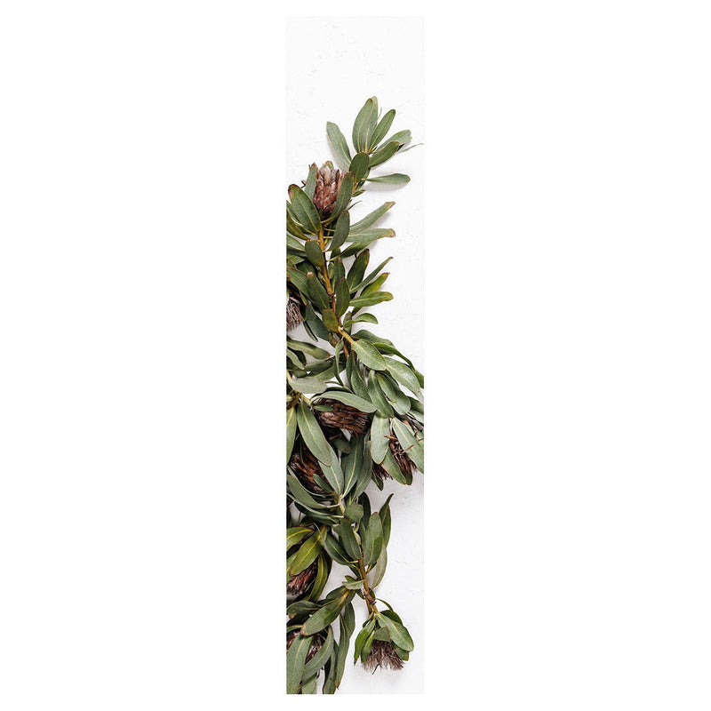 DRIED PROTEA WITH GREEN LEAVES TABLE RUNNER