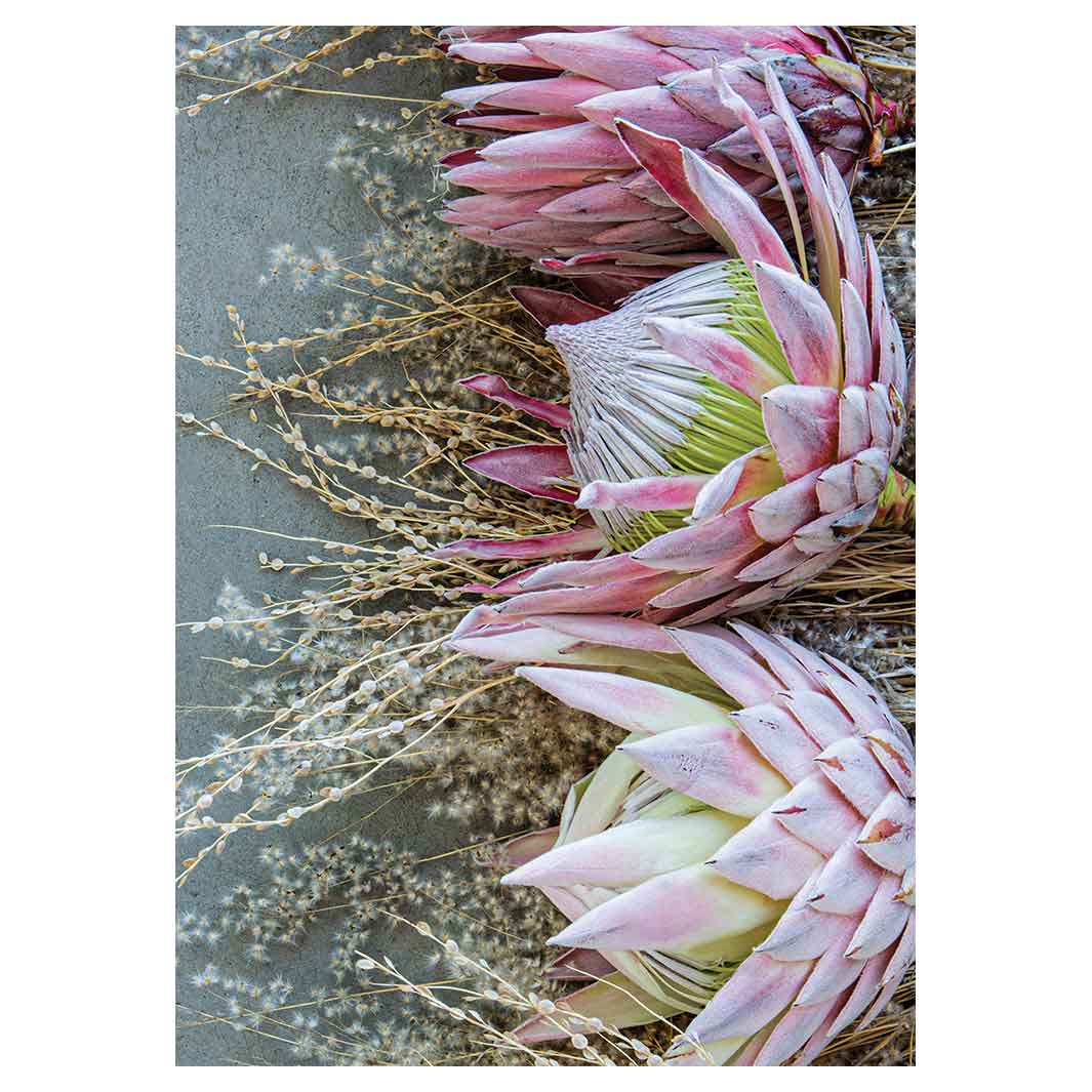 FLORAL DEEP PINK KING PROTEA TEA TOWEL — Cape Rug, Home & Art