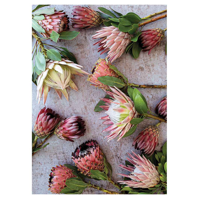 FLORAL PINK MIXED KING PROTEAS TEA TOWEL