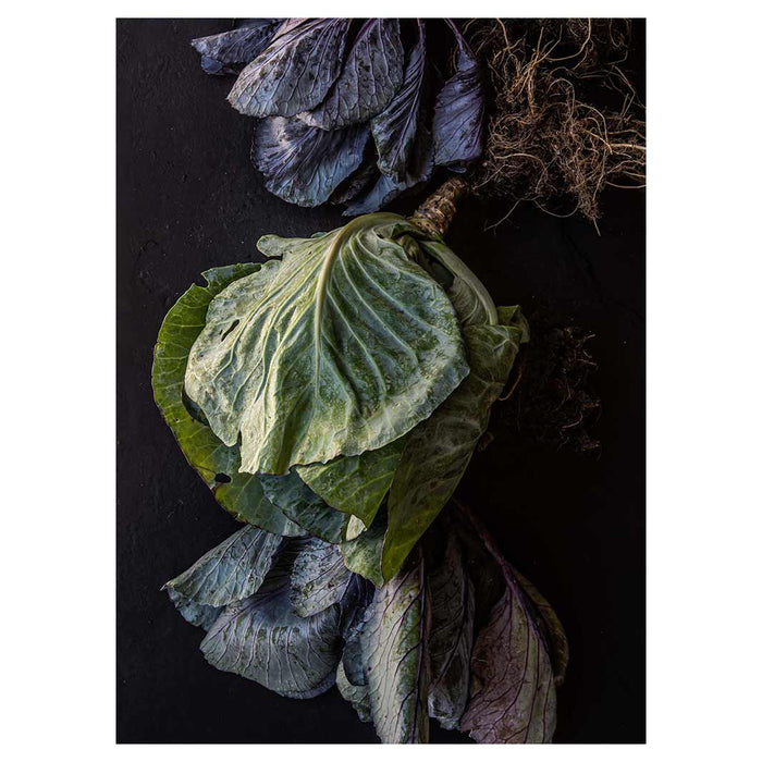 CABBAGE VEGETABLE LEAVES TEA TOWEL