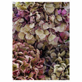 HYDRANGEA DEEP FLORAL TONES TEA TOWEL