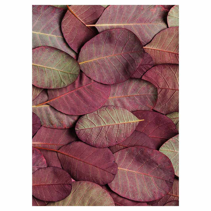 LEAF ARRANGEMENT DARK MAUVE AND GREEN TEA TOWEL