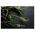 CONTEMPORARY YELLOW BLOSSOMED ALOE BUSH ON BLACK RECTANGULAR RUG
