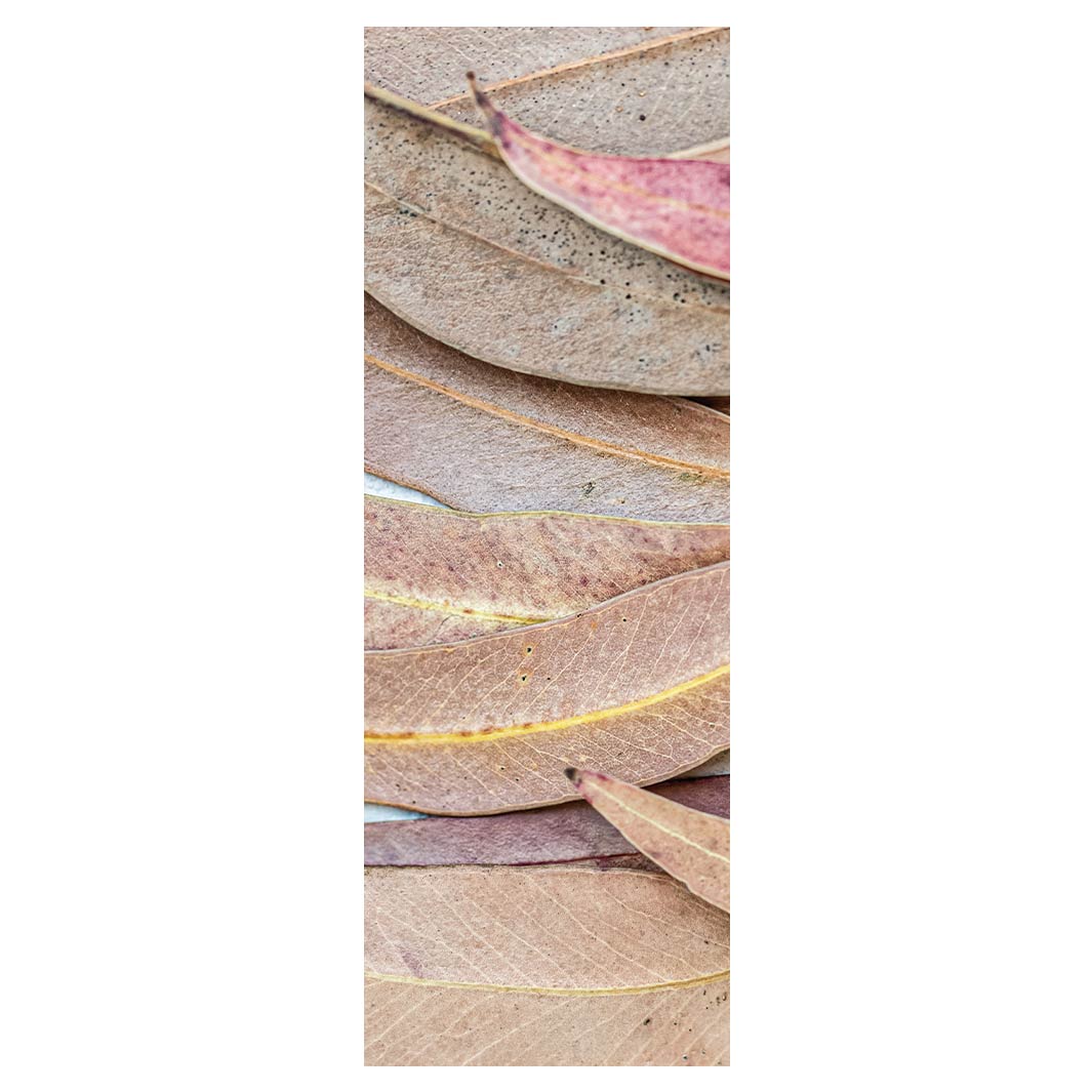 LEAVES PINK DRIED LEAVES YOGA MAT