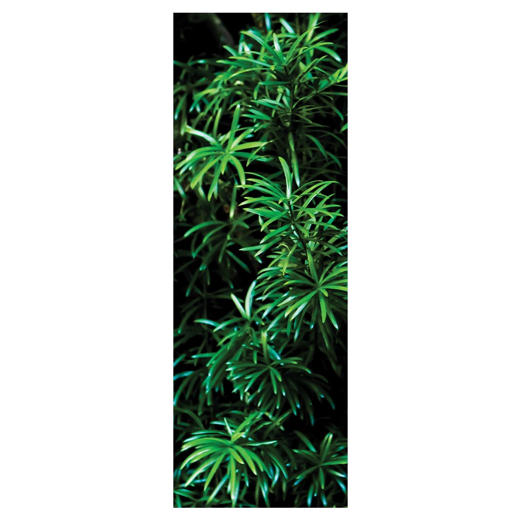 LEAVES GREEN TREE YOGA MAT