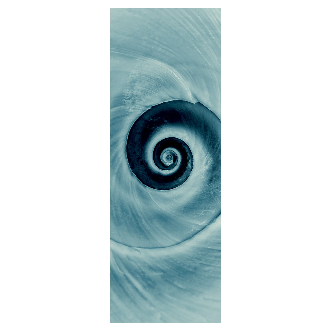 DESIGN TEAL PERIWINKLE SHELL SPIRAL YOGA MAT